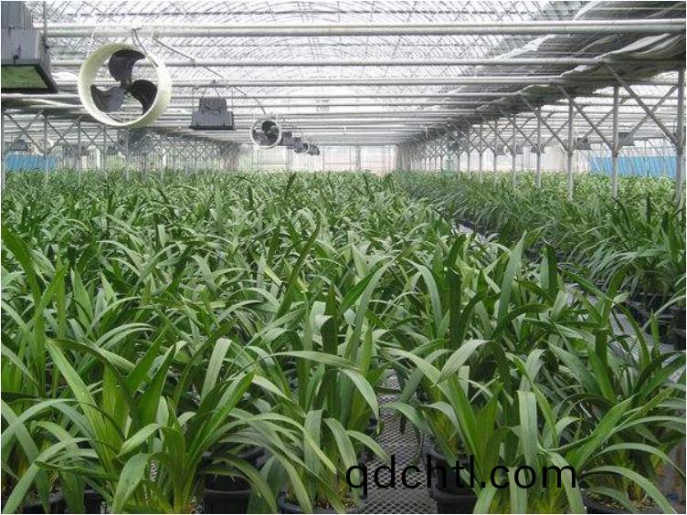 恆溫溫室大棚(peng)